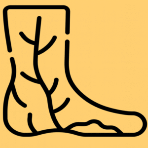 Dr Siddharth Vascular Logo